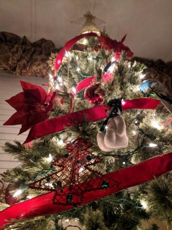 A red christmas taken in Othello, Washington by Rae Rigtrup