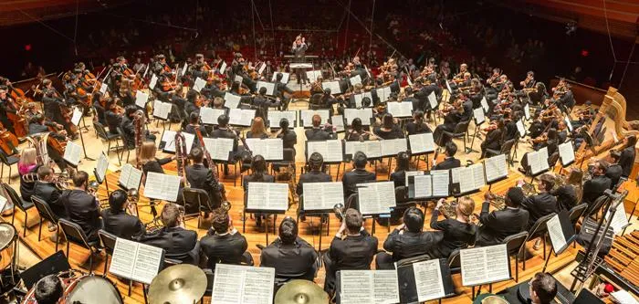 High School Orchestra: An Insider's Point of View