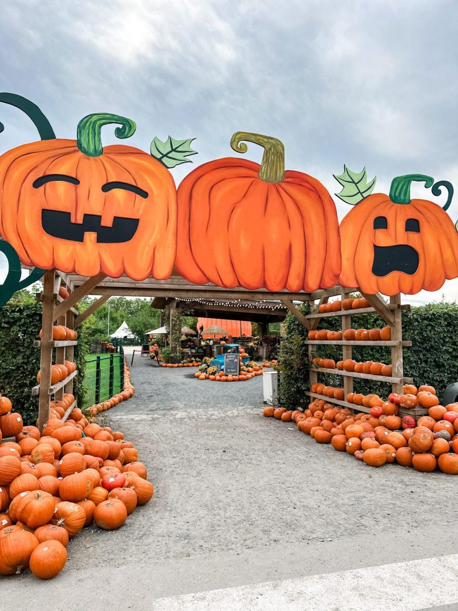 Where’s the Spirit? A Demand For More Halloween Events is Growing