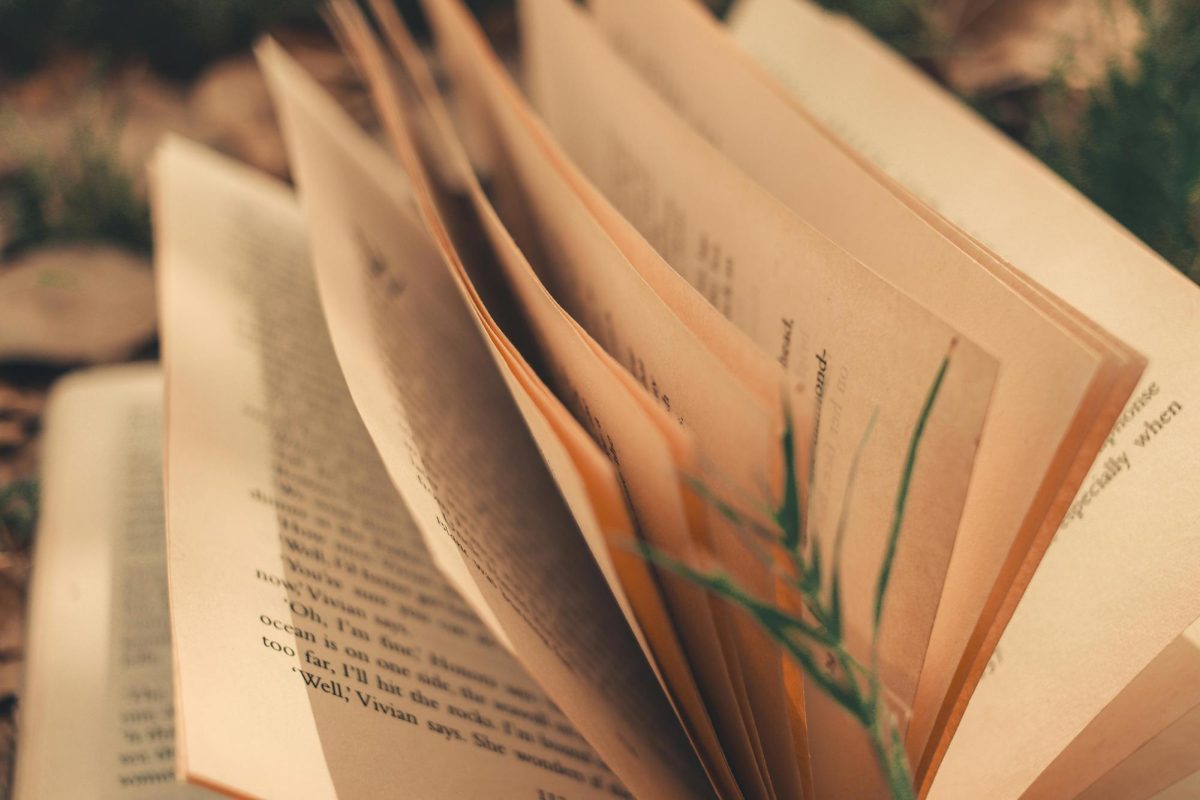 Winter Break Reading Recommendations from Tahoma Staff