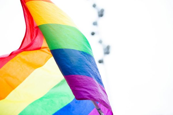 What does Saga do beyond being a safe space?