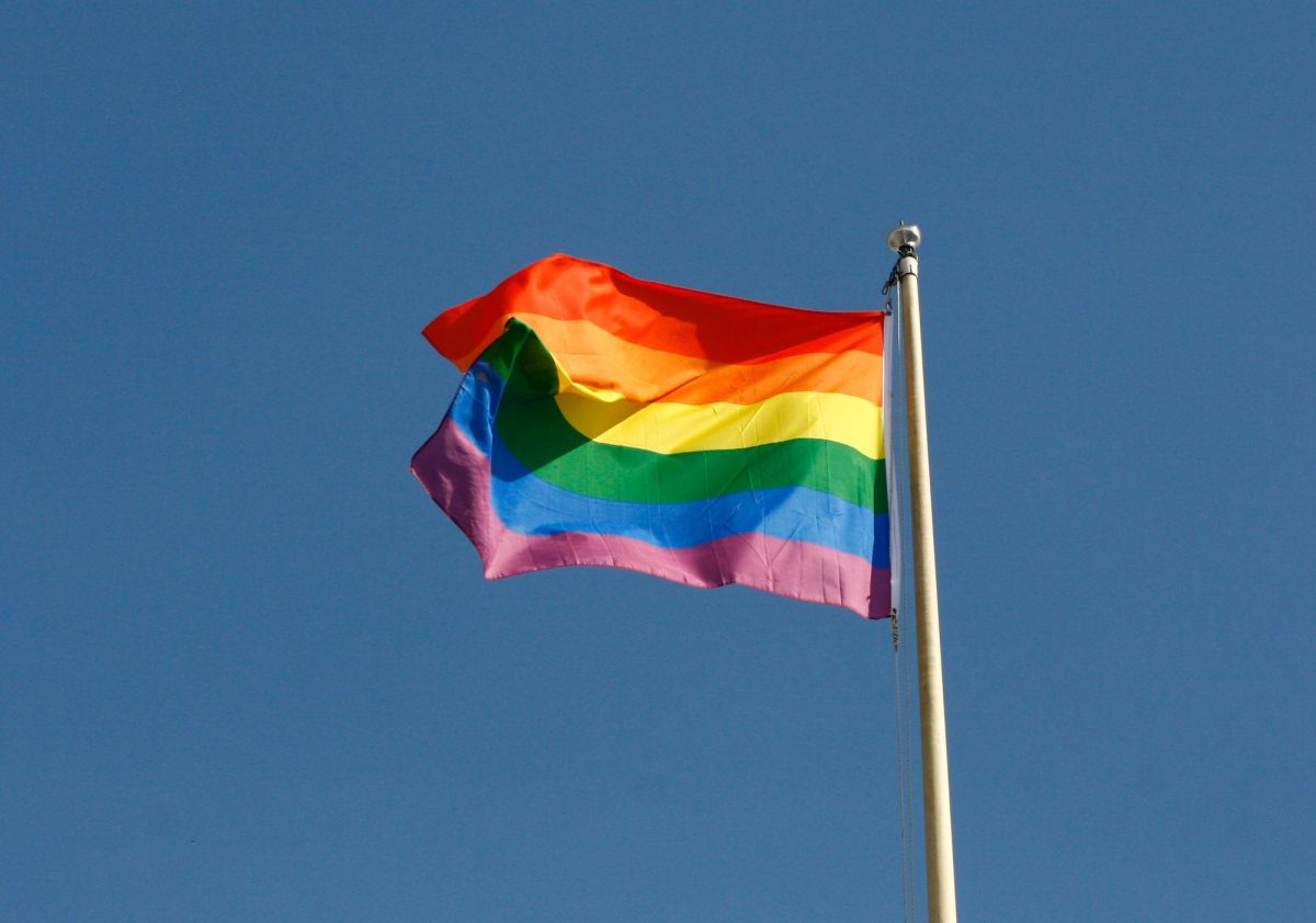 What was it like for Saga to run a booth at Pride In The Park?