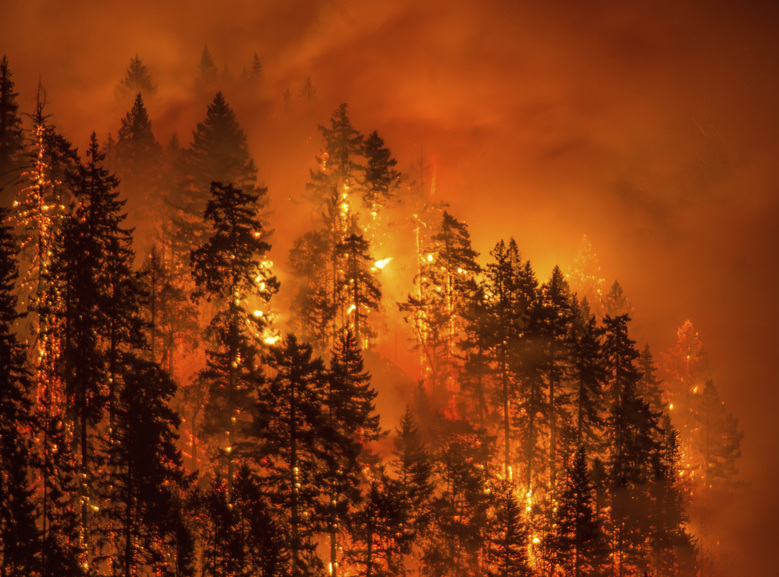  Rising Heat Means Rising Risks for Wildfires in Washington